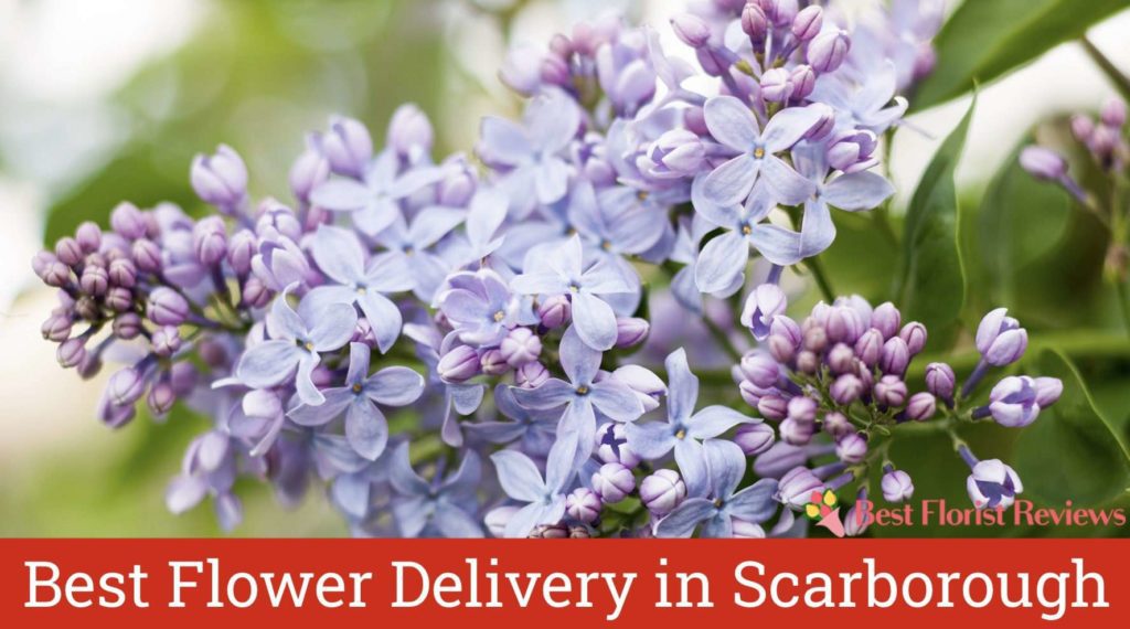 Best Flower Delivery in Scarborough