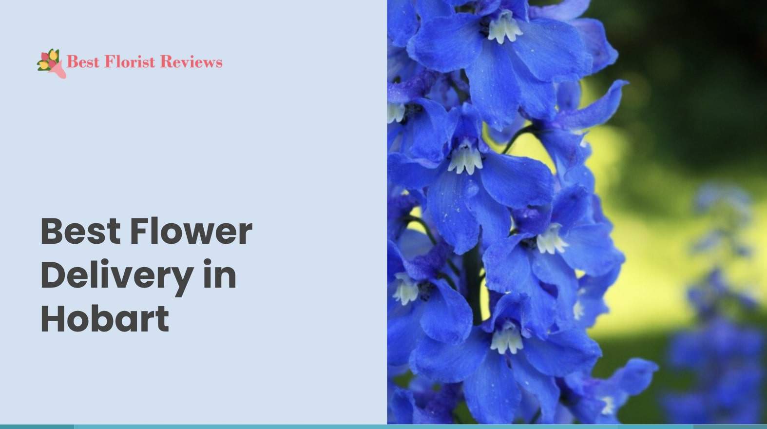 Best Flower Delivery in Hobart