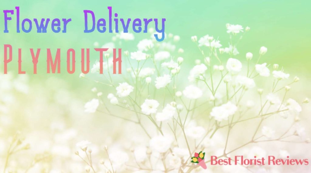 Best Flower Delivery in Plymouth