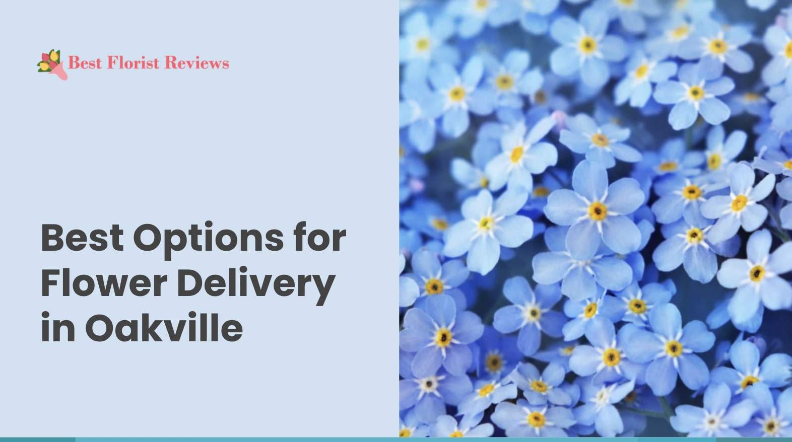 Best Flower Delivery in Oakville