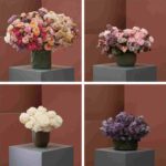Darcey Flowers