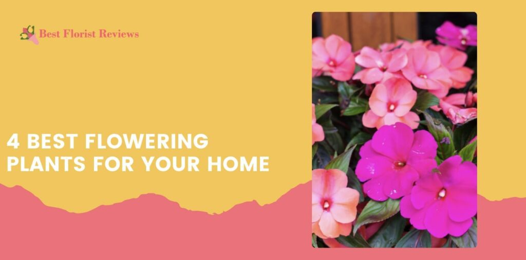4 Best Flowering Plants for Your Home
