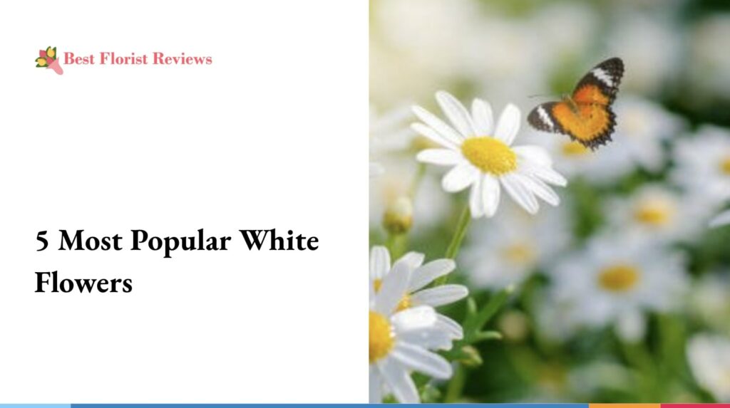 5 Most Popular White Flowers