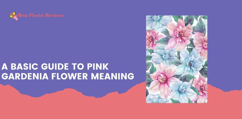 A Basic Guide to Pink Gardenia Flower Meaning