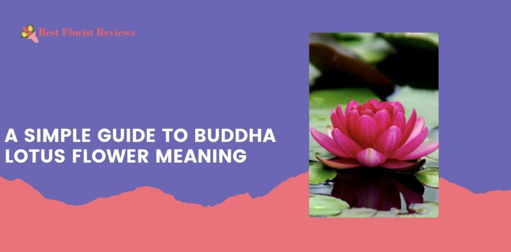 A Simple Guide to Buddha Lotus Flower Meaning