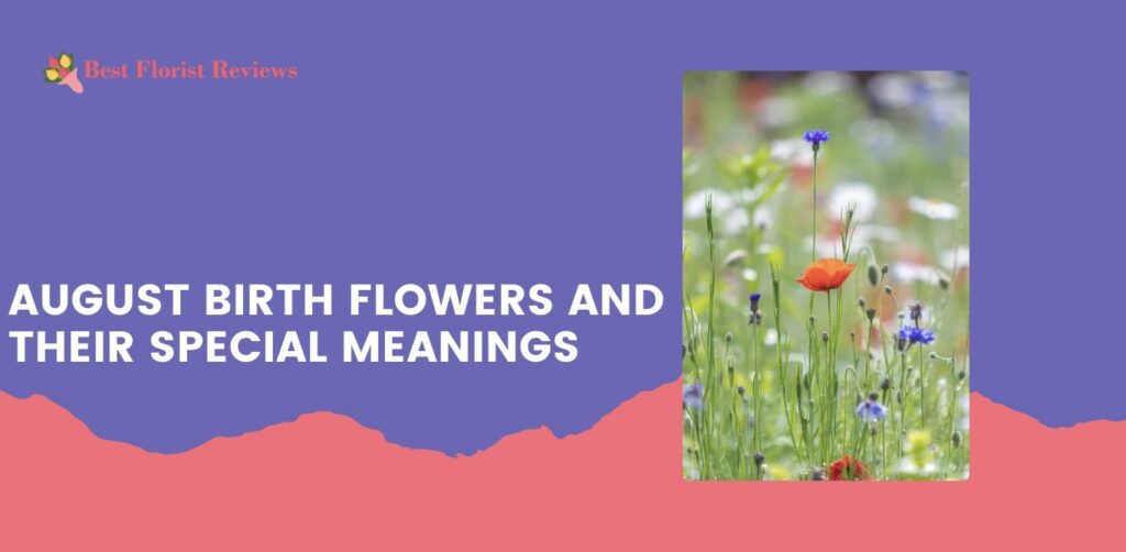 August Birth Flowers and Their Special Meanings
