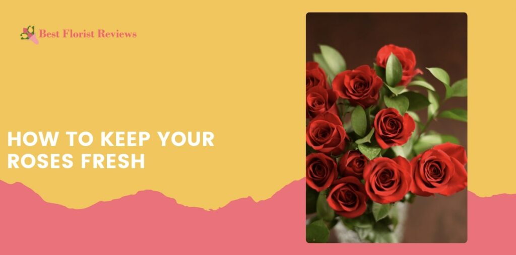 How to Keep Your Roses Fresh