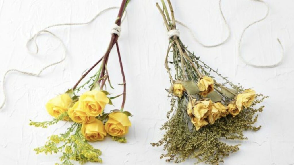 Steps for Air-Drying Flowers