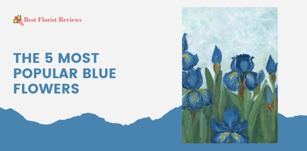 The 5 Most Popular Blue Flowers