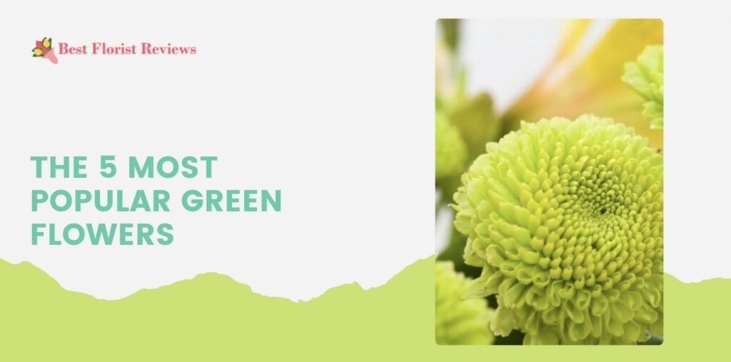 The 5 Most Popular Green Flowers