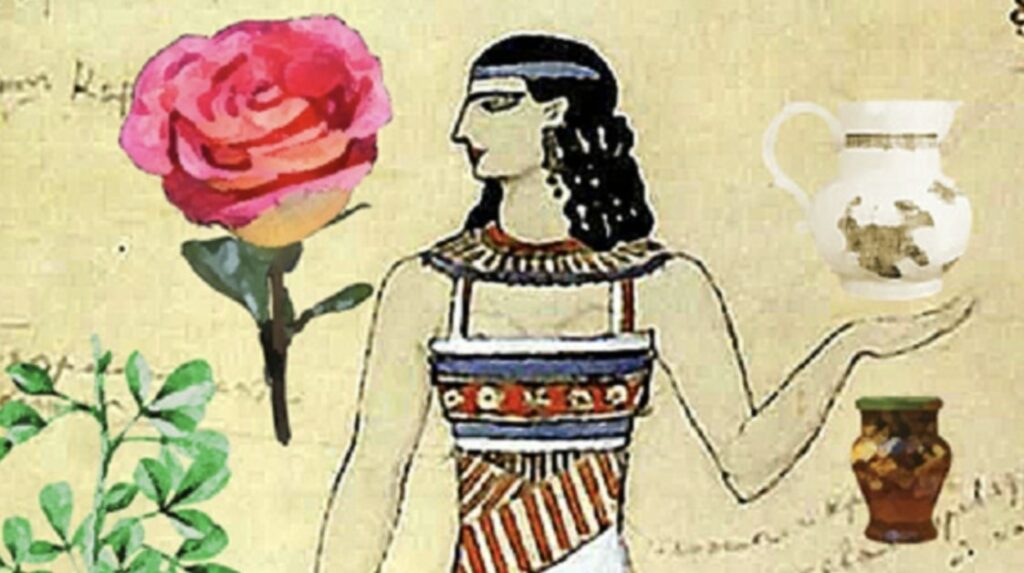 The History of the Timeless Rose