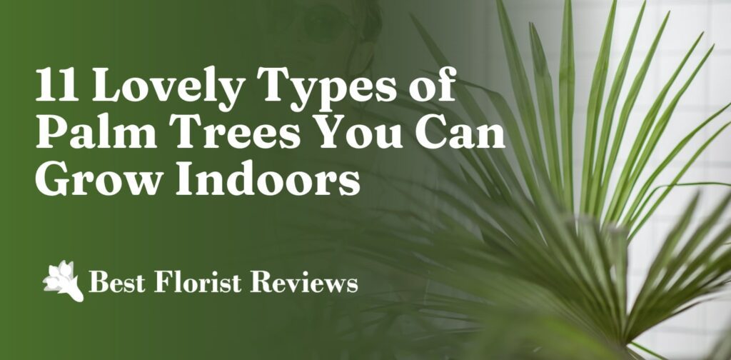 11 Lovely Types of Palm Trees You Can Grow Indoors