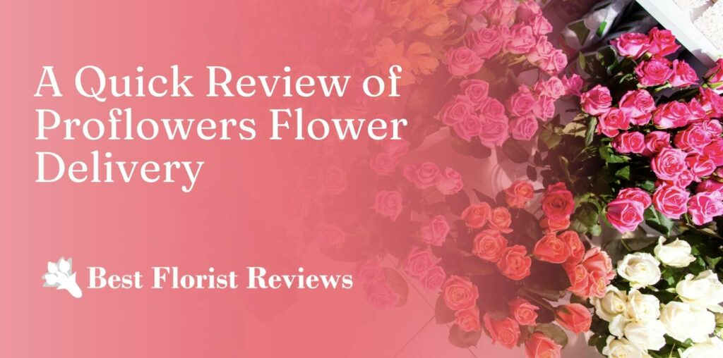 A Quick Review of Proflowers Flower Delivery