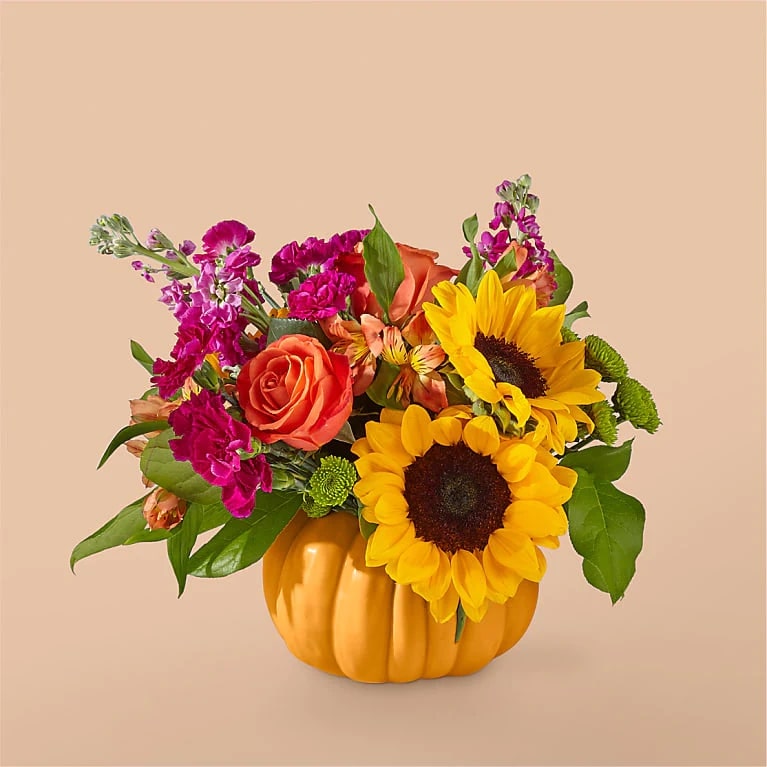 Bibbity Boppity Pumpkin