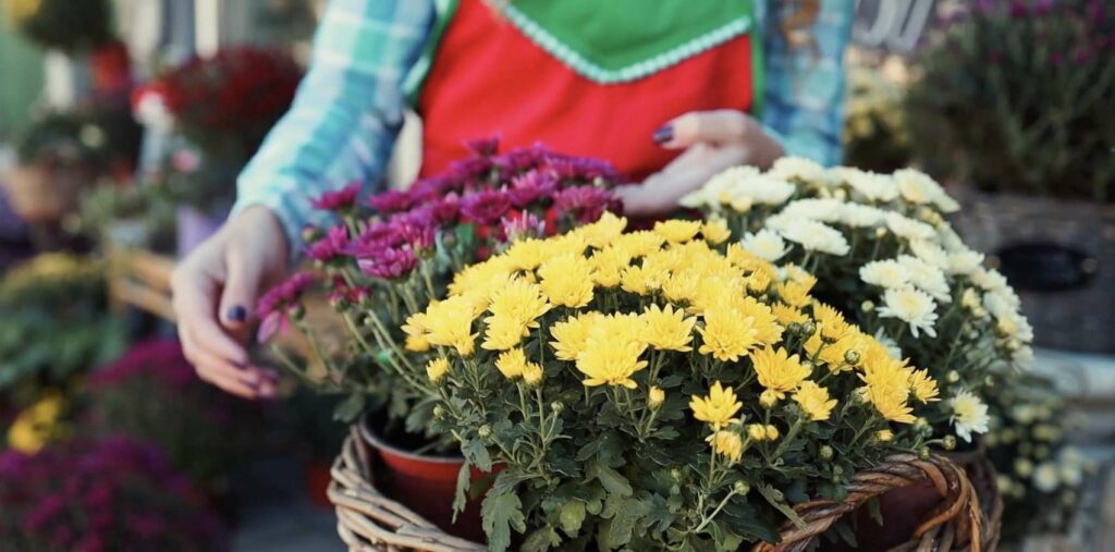 What is it like to buy from ProFlowers