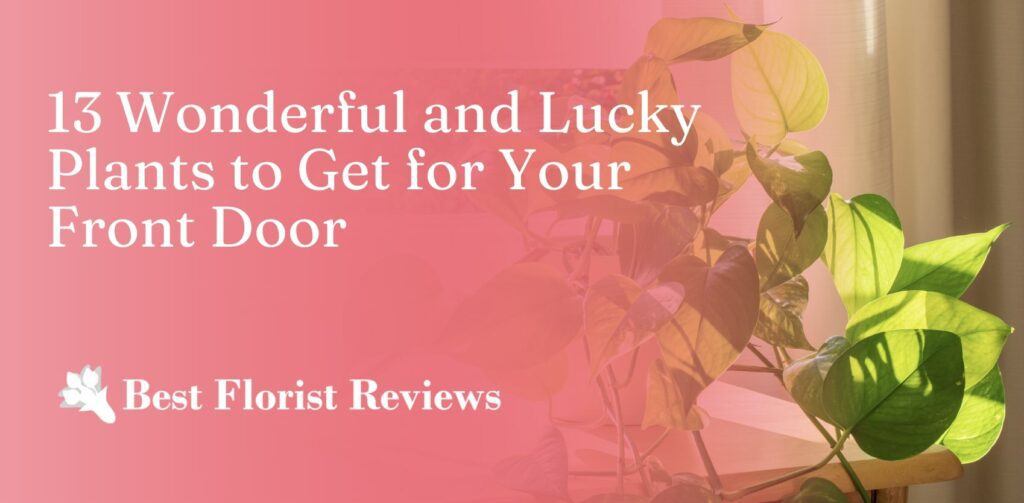 13 Lucky Plants to Get for Your Front Door