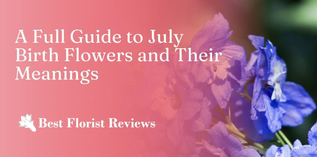 A Full Guide to July Birth Flowers & Their Meanings