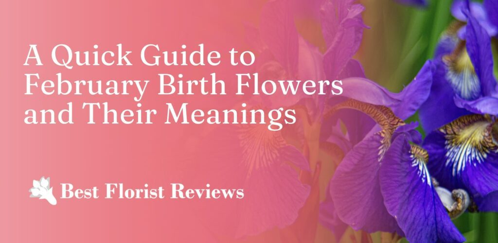 A Guide to February Birth Flowers and Their Meanings