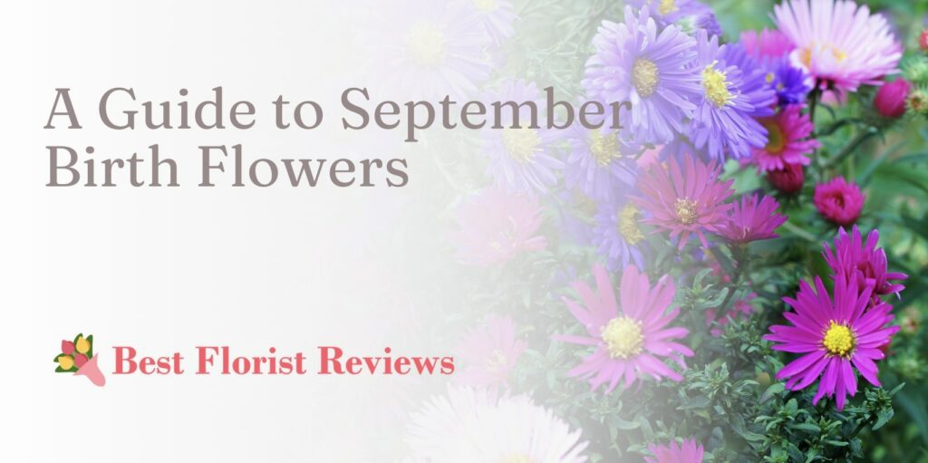 A Guide to September Birth Flowers
