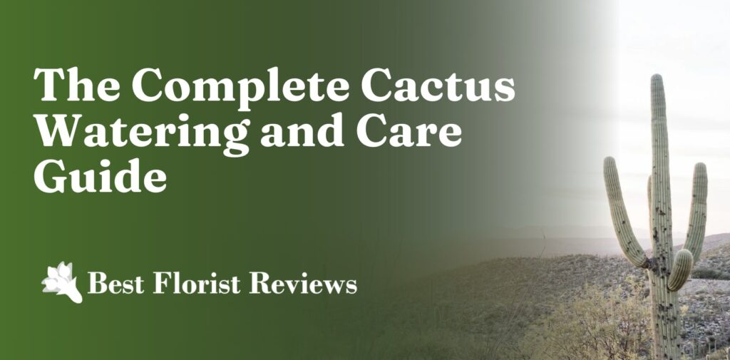 The Complete Cactus Watering and Care Guide