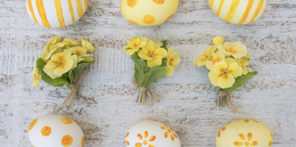 What are the suitable gifting occasions for primroses