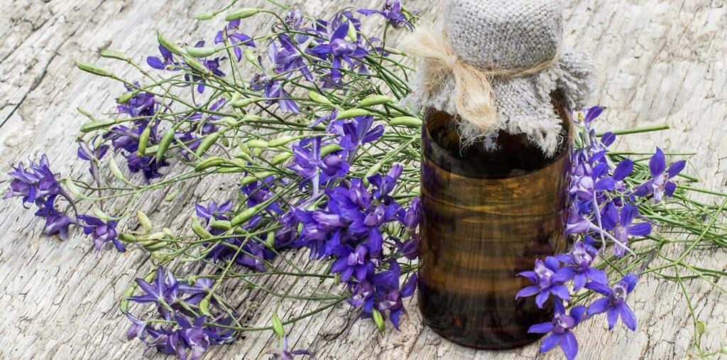 What are the uses of the larkspur flower