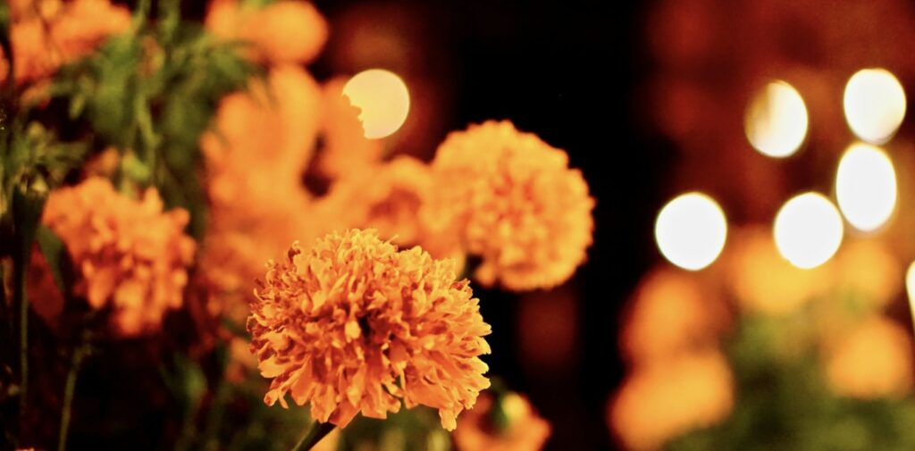 What do marigolds represent spiritually