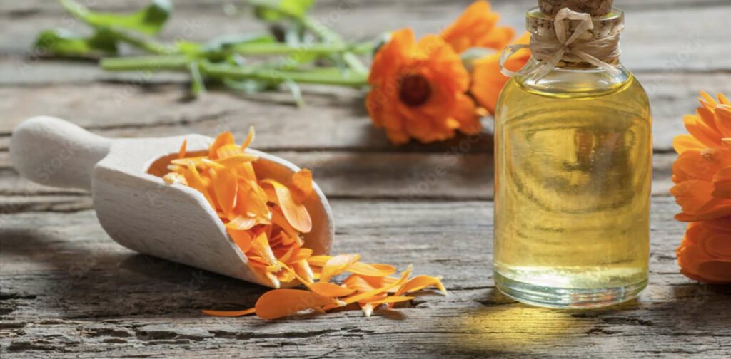 What is the traditional use of the marigold