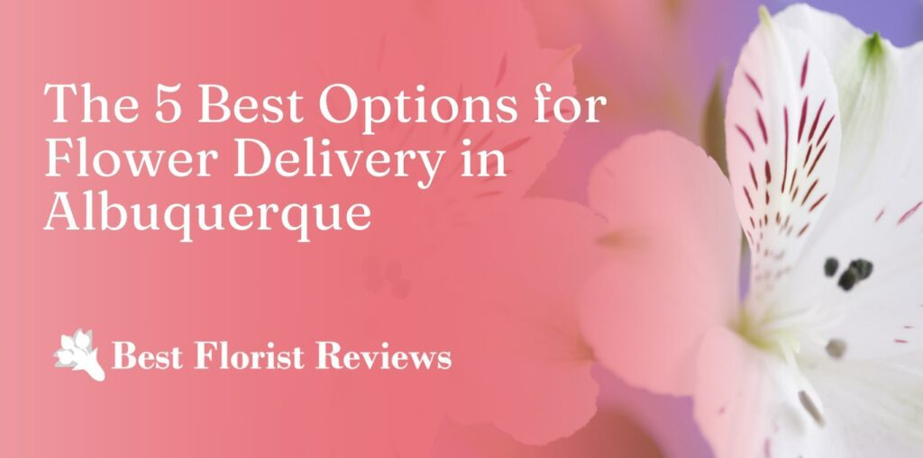 5 Best Options for Flower Delivery in Albuquerque