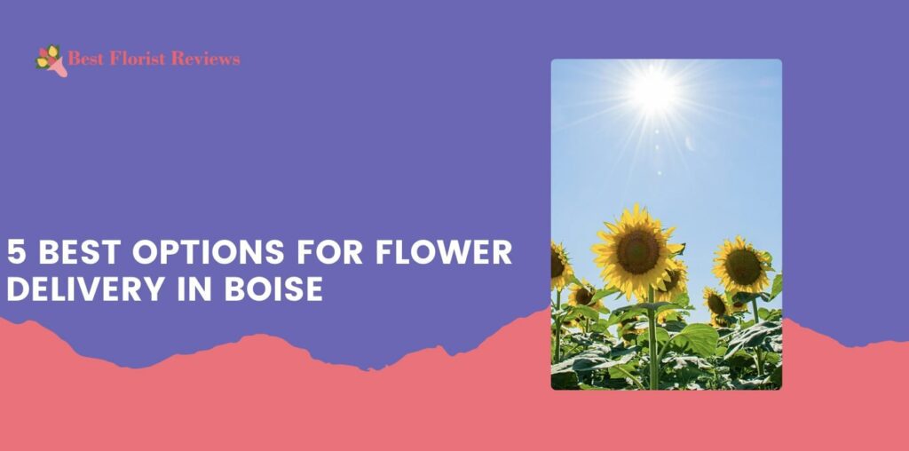 5 Best Options for Flower Delivery in Boise