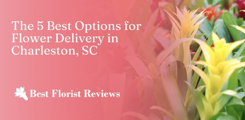 5 Best Options for Flower Delivery in Charleston, SC