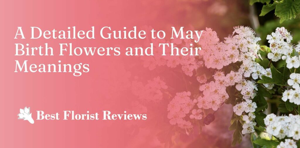 A Detailed Guide to May Birth Flowers and Their Meanings