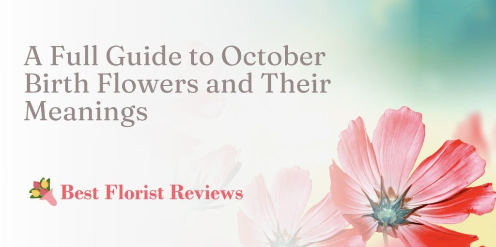 A Full Guide to October Birth Flowers and Their Meanings