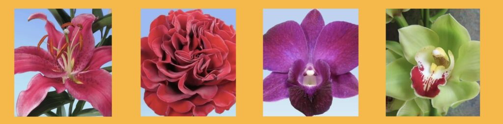Associated Cut Flower Co.