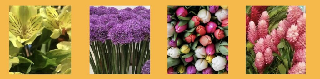 Empire Cut Flowers