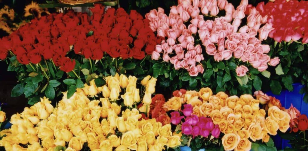 Is it worth shopping at the NYC Flower District