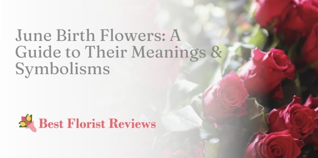 June Birth Flowers A Guide to Their Meanings & Symbolisms