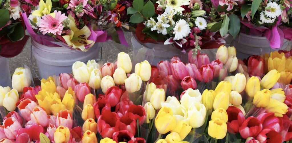 Tips on Going to the NYC Flower Market