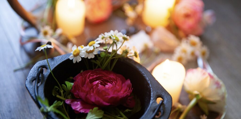 What is the essence of the chrysanthemum in Buddhism