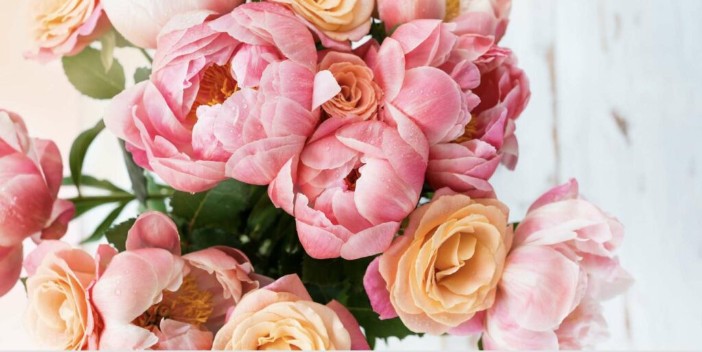 What is the meaning of peonies