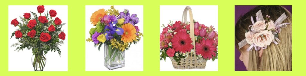 Blossoms Homepage