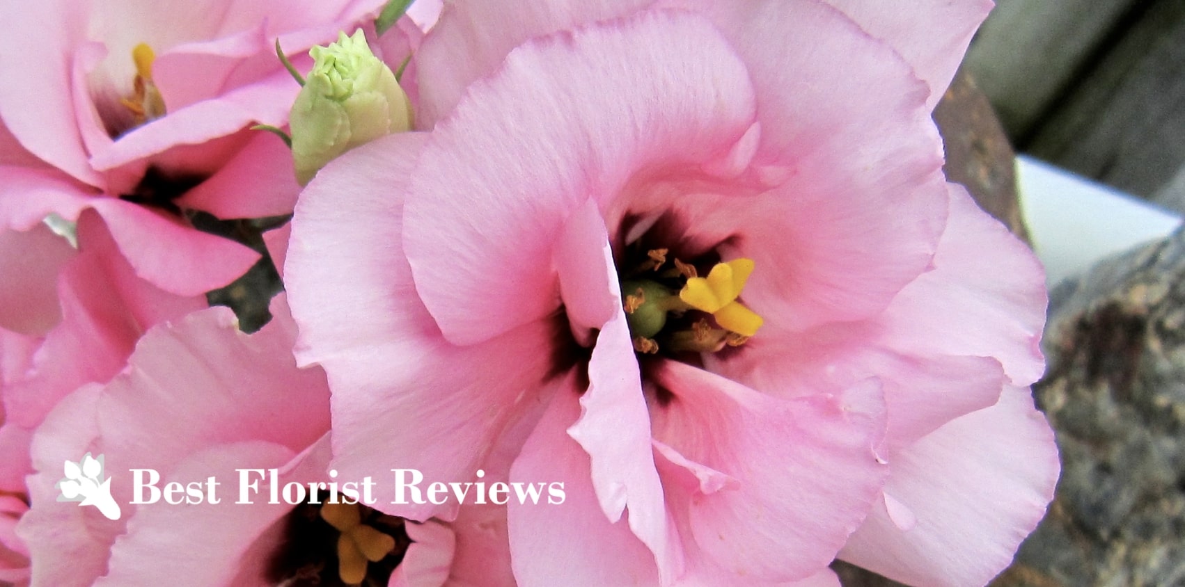 5 Best Options for Flower Delivery in Mobile, AL