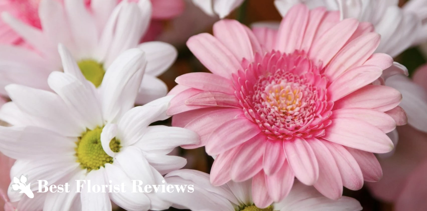 5 Best Shops for Flower Delivery in Aurora, CO