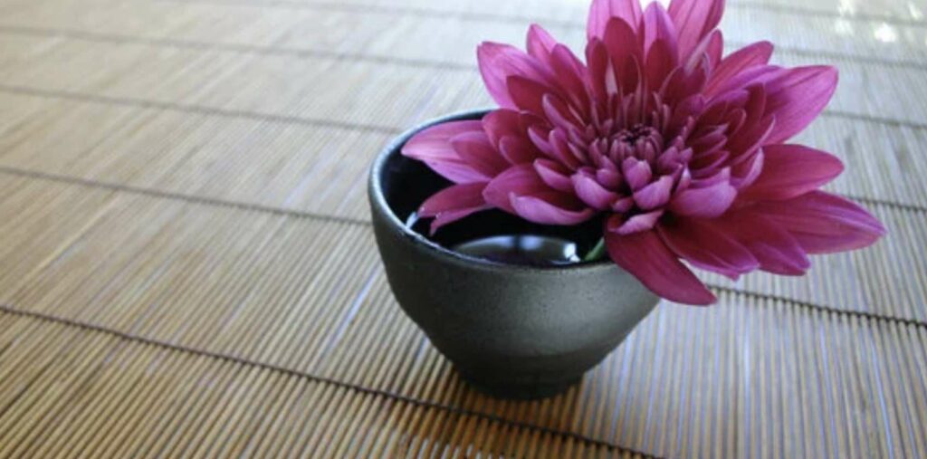 Is the chrysanthemum lucky in feng shui