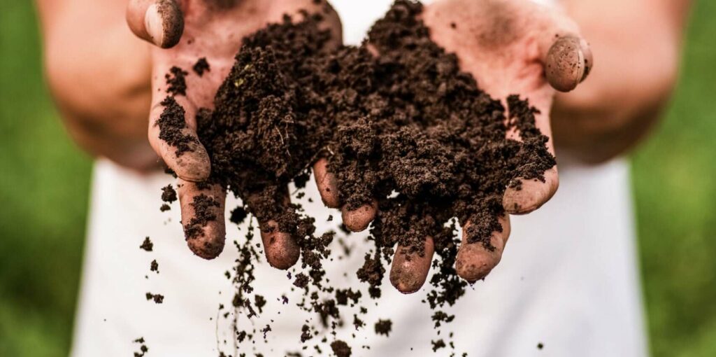 Poor Soil
