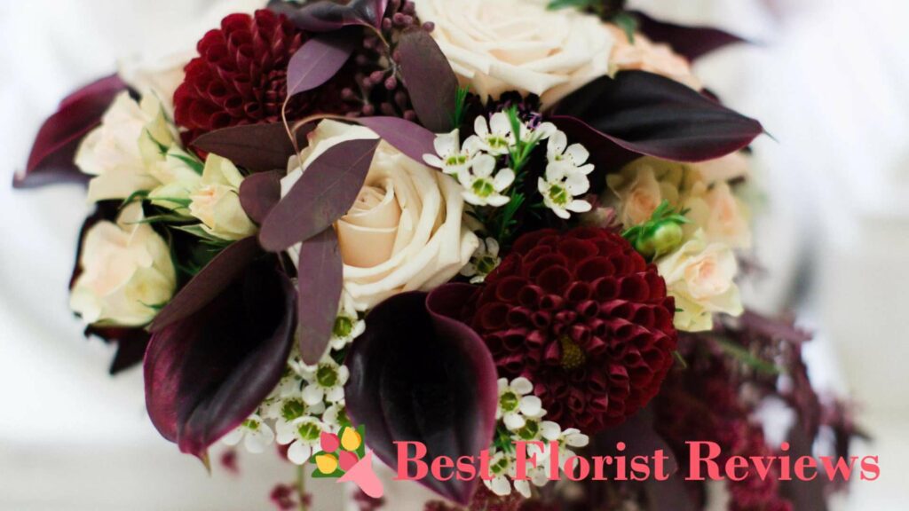 Taking Care of Black Dahlias