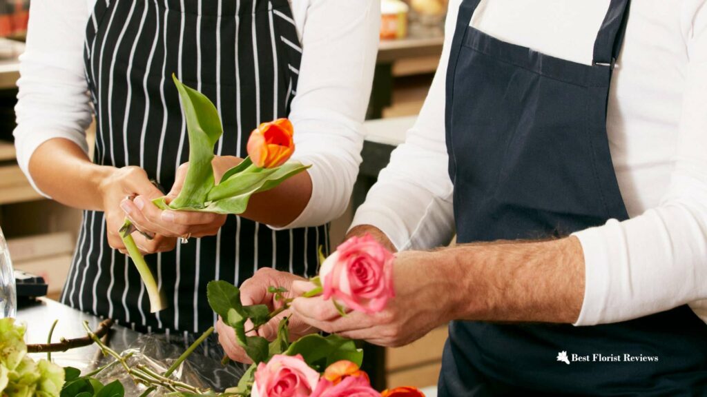 Things to Look for When Buying Tulips