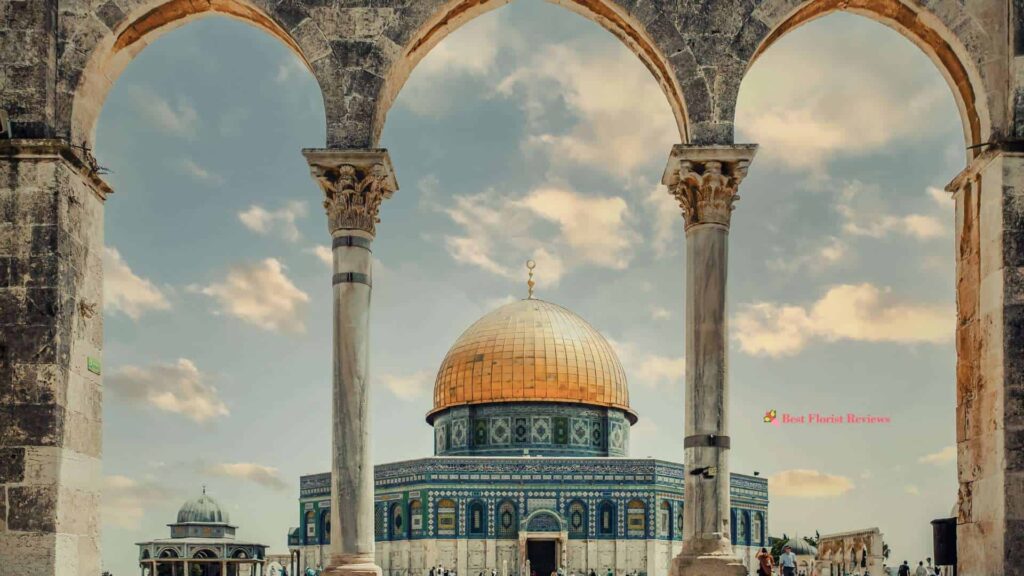 Turkish Significance Indulgence and God's Love