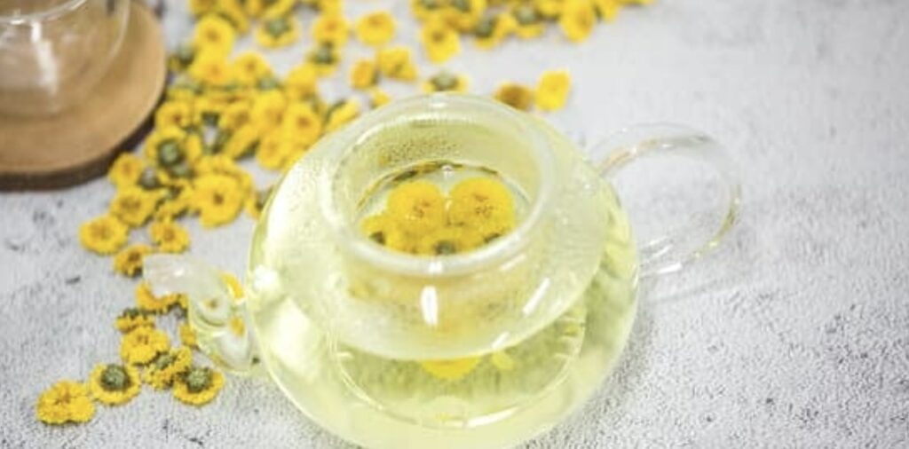 What are the uses of the chrysanthemum flower