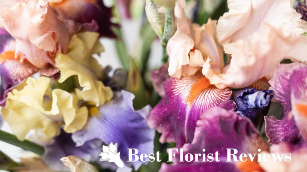 How did the iris flower get its name